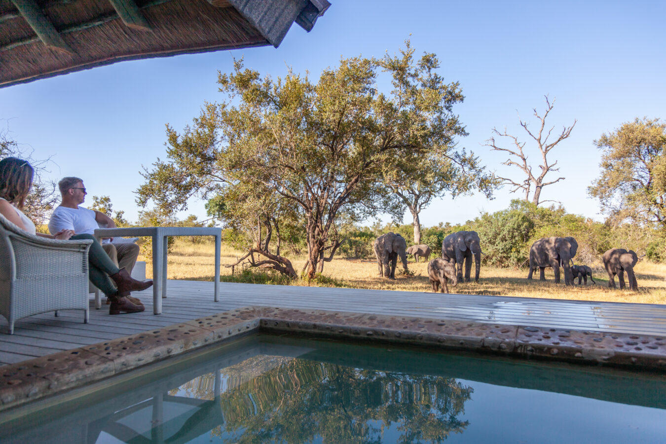 1734593632550_leopard-hills-mvr-2024-accommodation-suite-02-1350×900-(1)