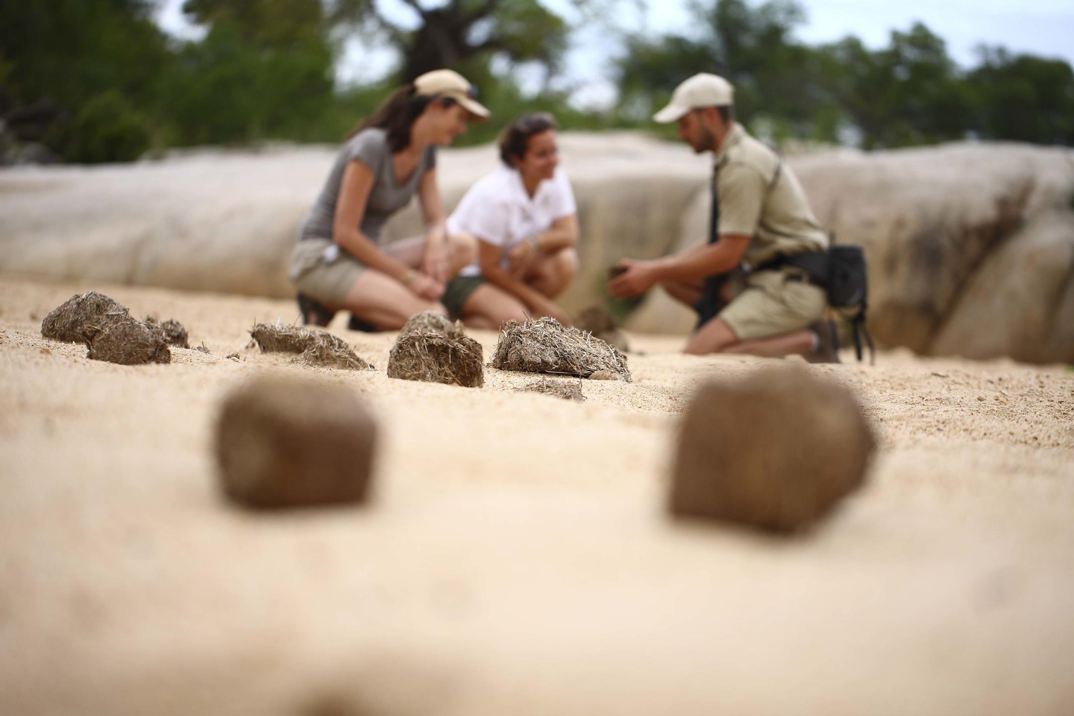 Dulini River Walking Safari
