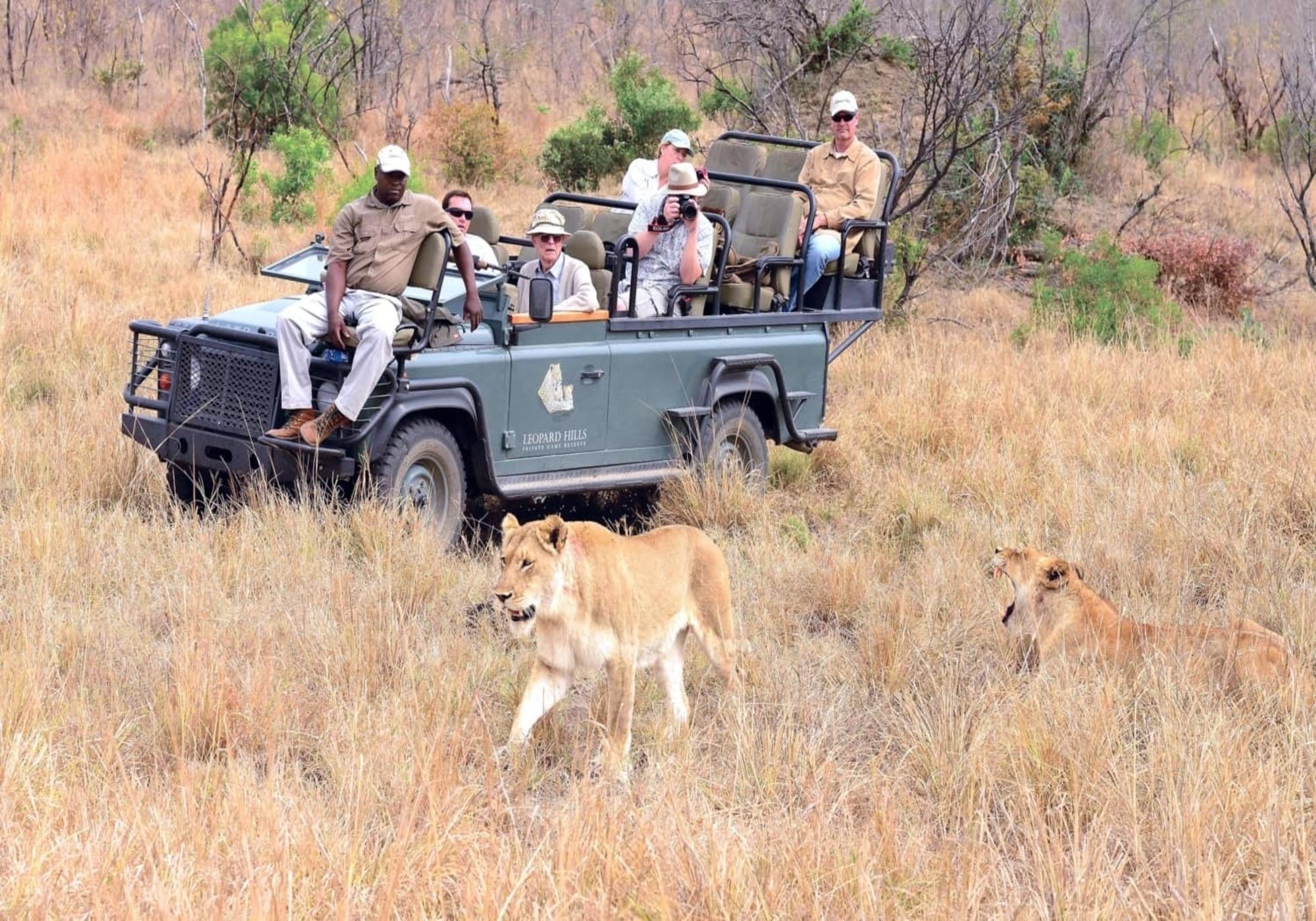 Leopard Hills