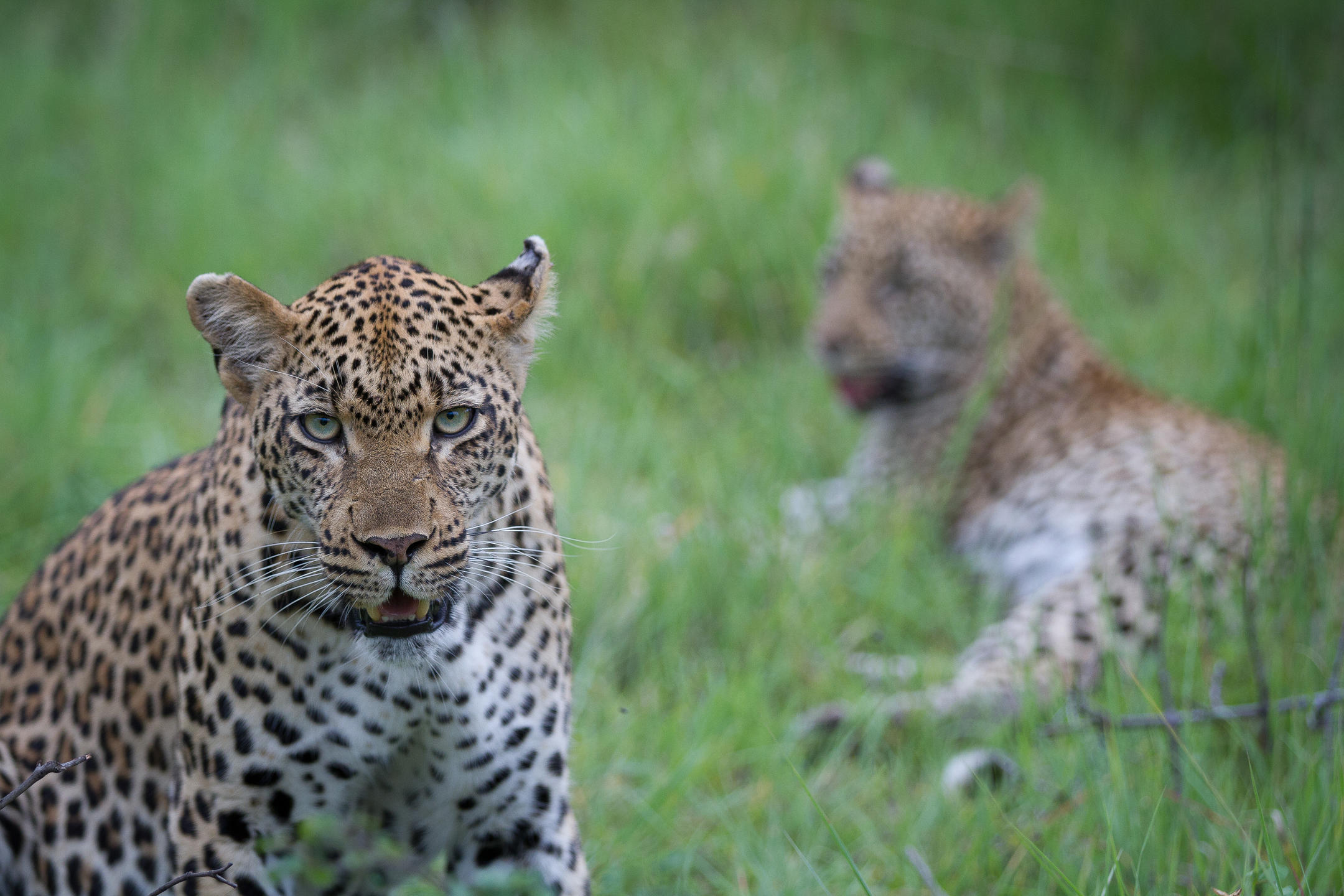 Mother and daughter
