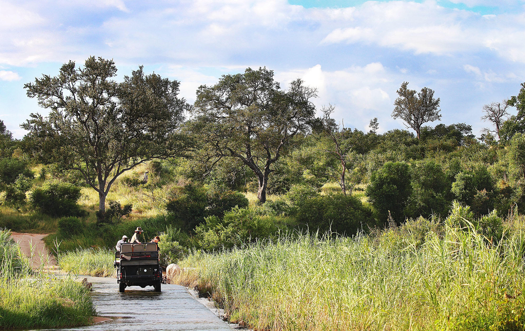 On safari at Londolozi _1