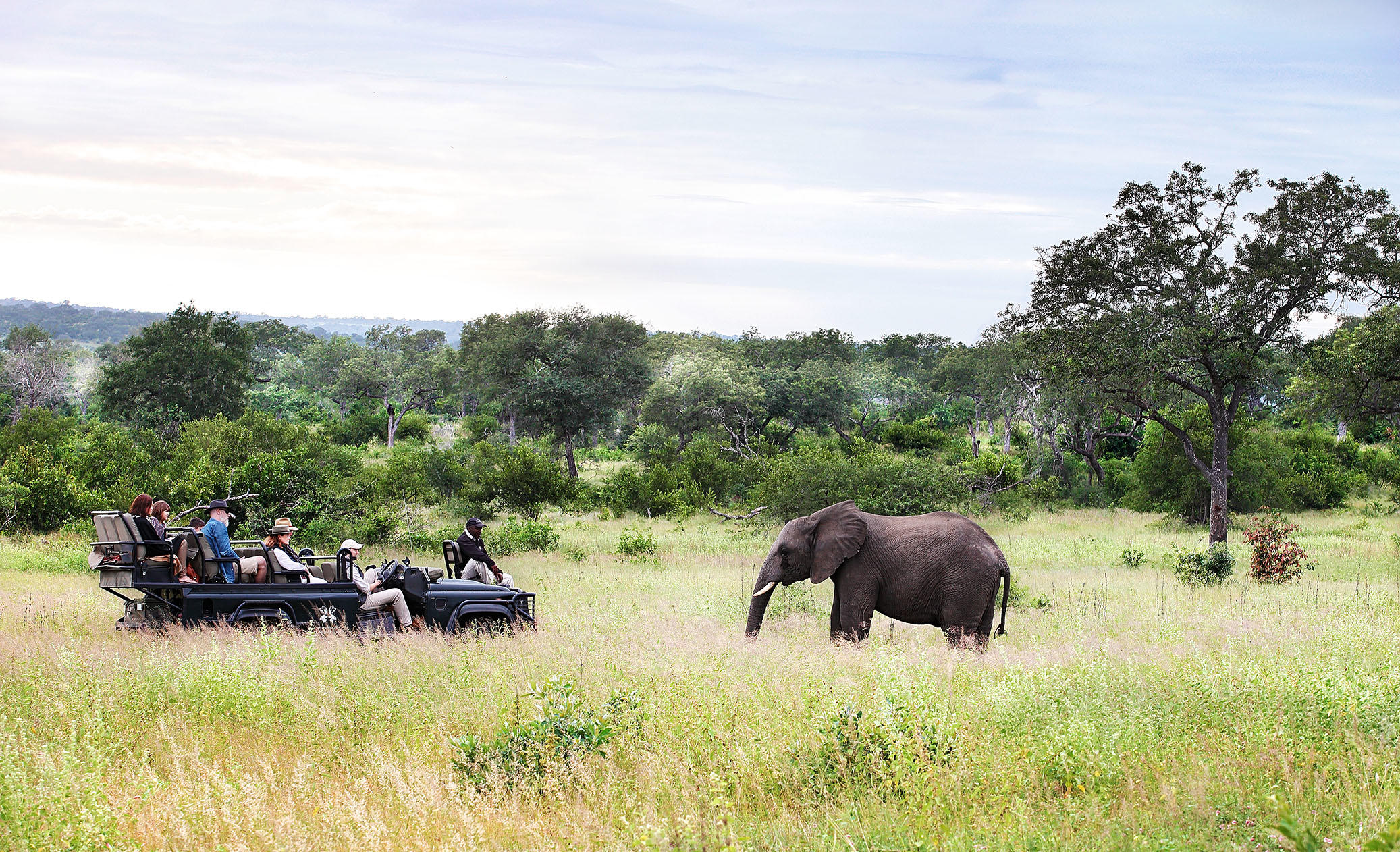 On safari at Londolozi _3