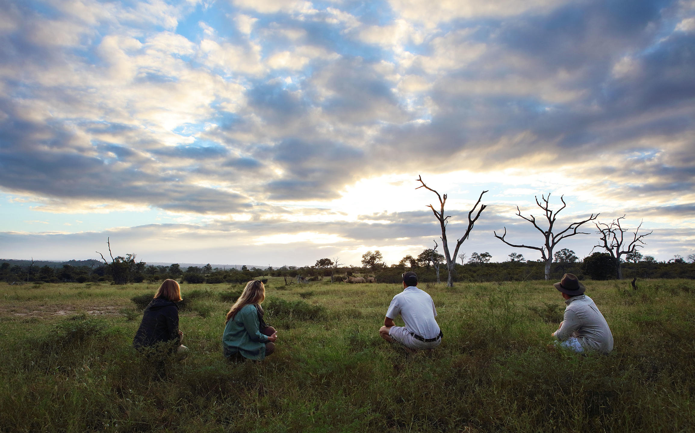 On safari at Londolozi