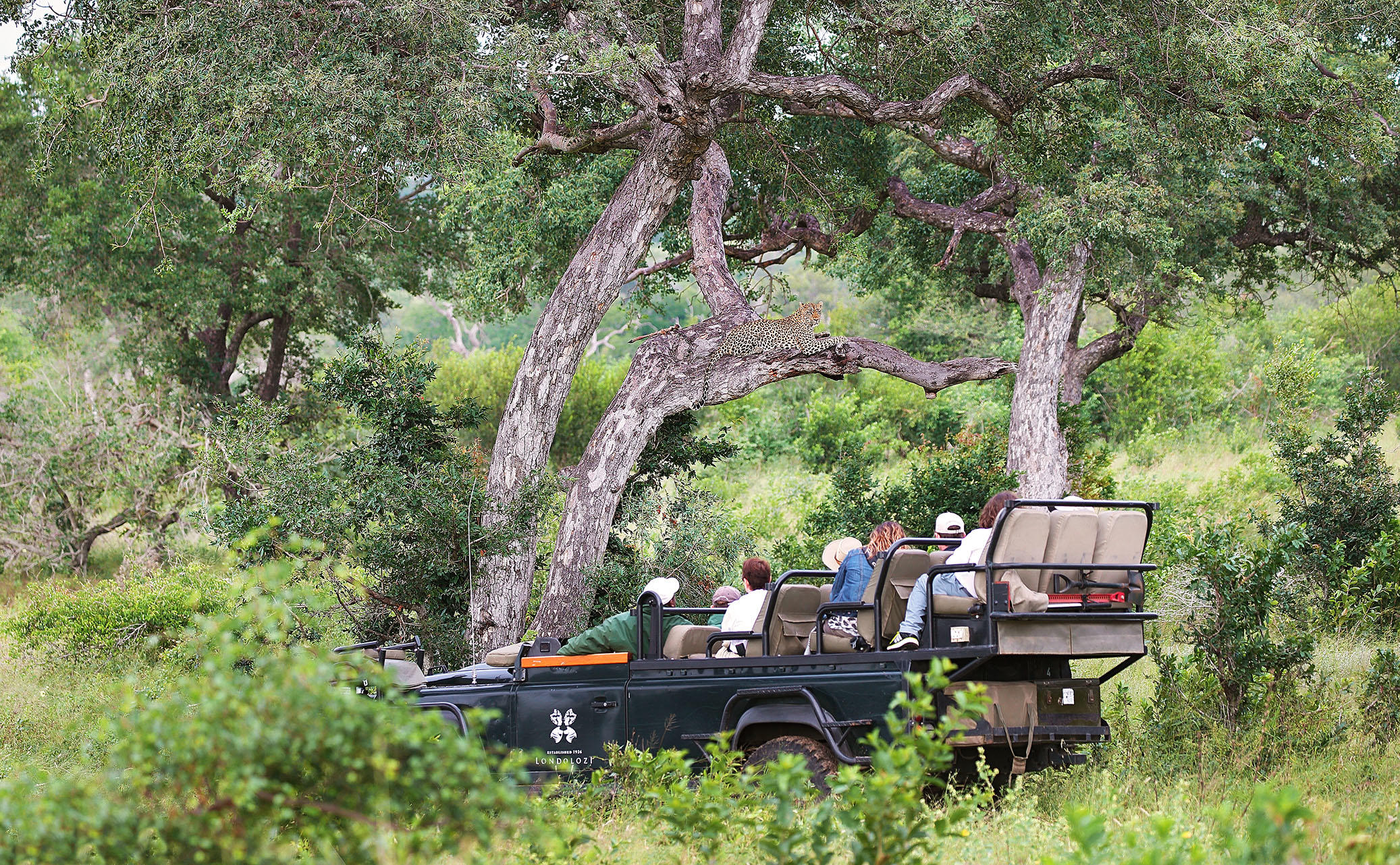 On safari at Londolozi_1