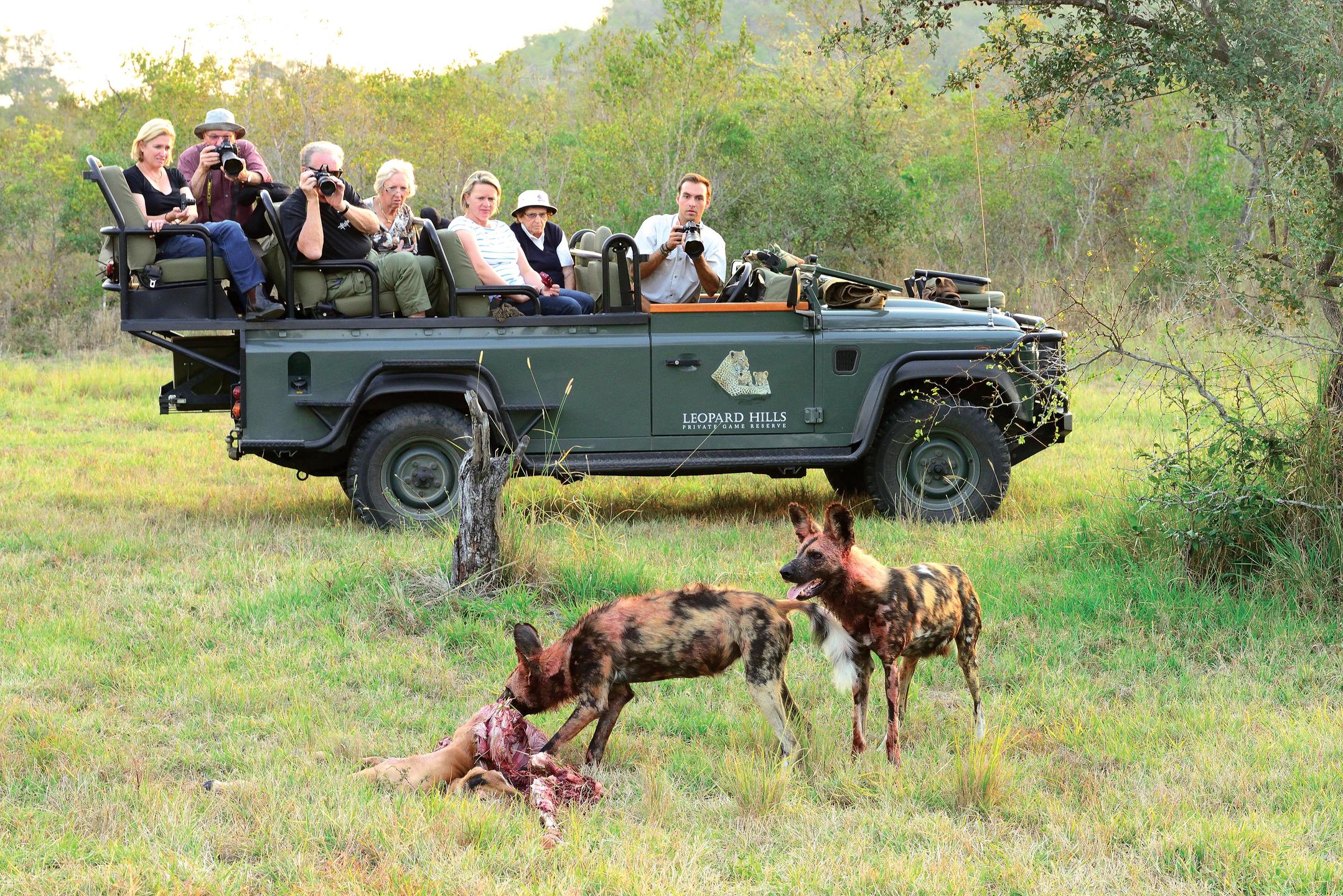 leopard_hills_game_drive_hr_04
