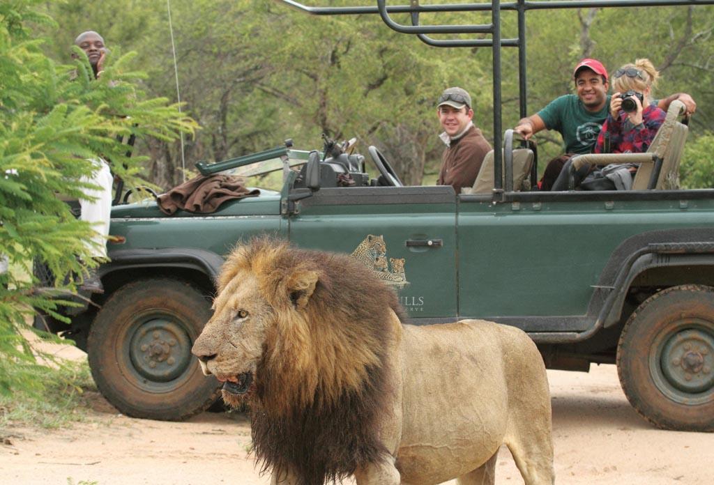 leopard_hills_game_drive_hr_06