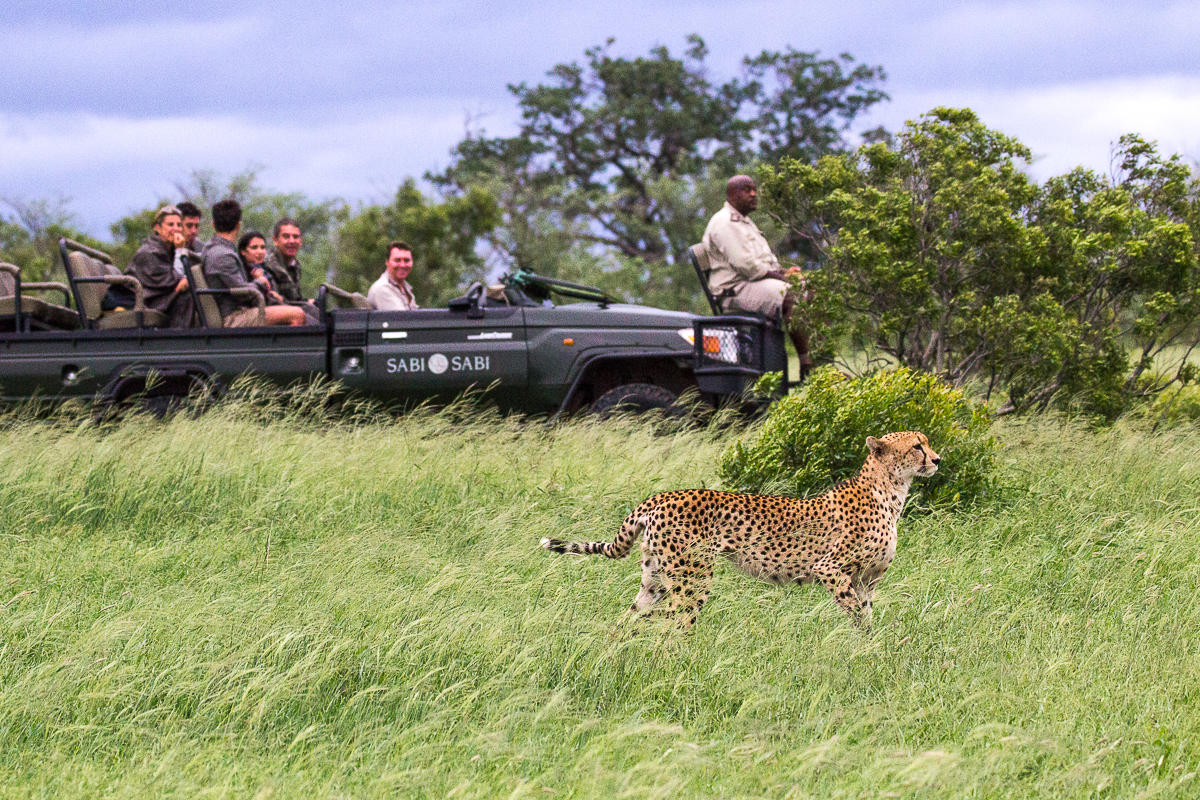 safari_7