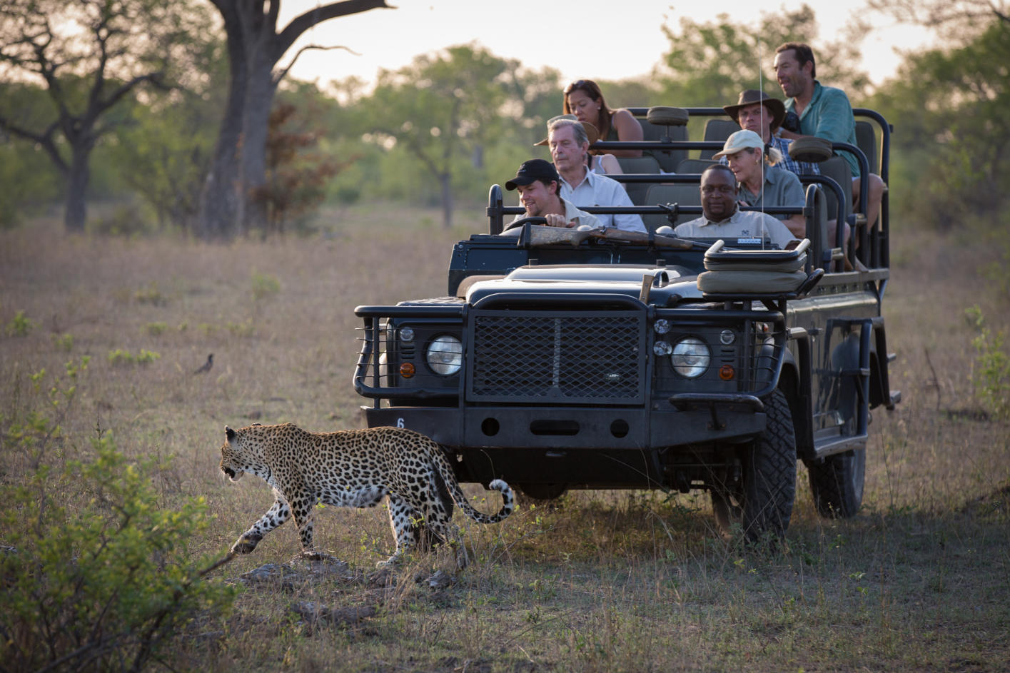 tamboti_vehicle_garrett__life